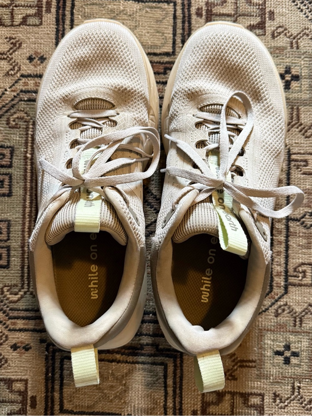 While On Earth Move Trainer View 5